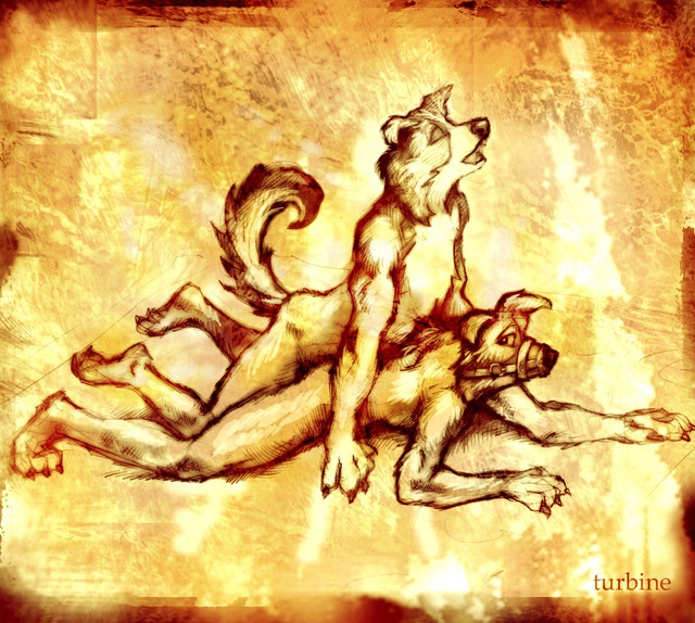 twodogs