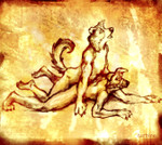 twodogs