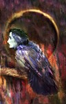 Nighttime Birds